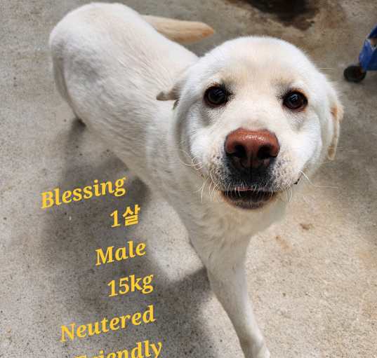 Photo of Blessing