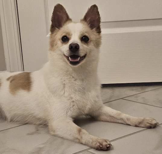 Photo of Nina