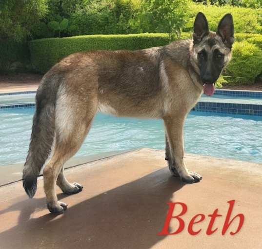 Photo of Beth