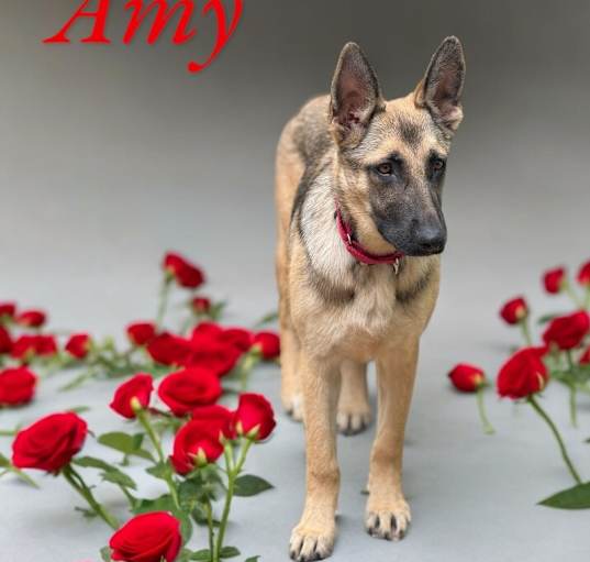 Photo of Amy