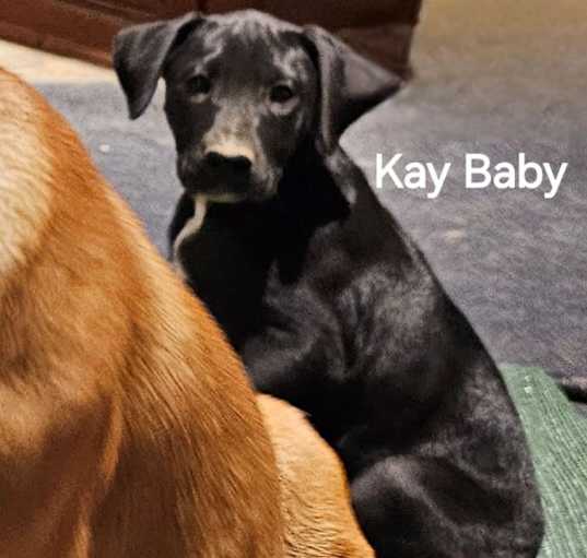 Photo of Kay Baby