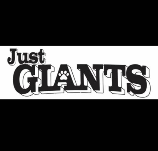Photo of Undecided, Help me find the perfect giant