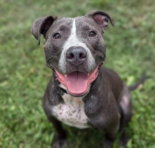 Photo of Matchbox Kid - In Foster