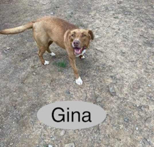 Photo of Gina