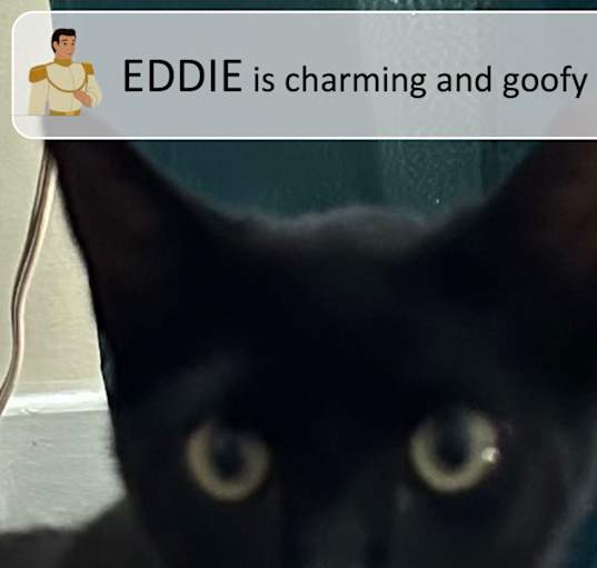 Photo of Eddie