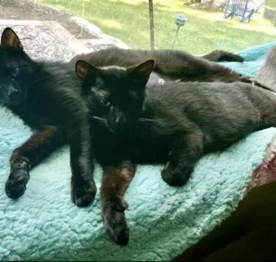 Photo of Wilma & Sadie