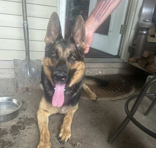 Photo of Diesel