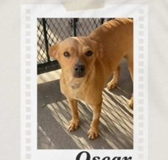 Photo of Oscar