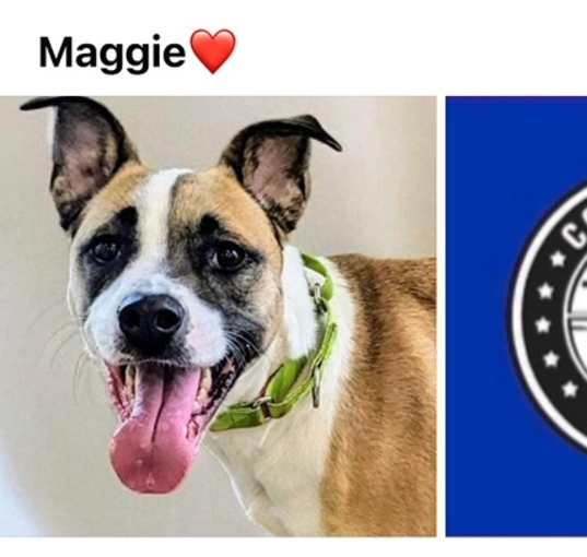 Photo of MAGGIE