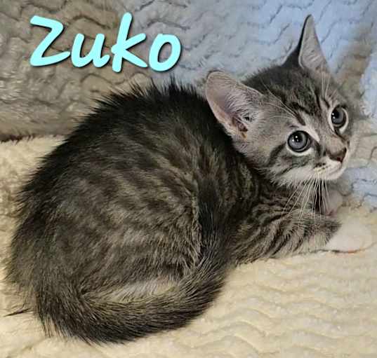 Photo of Zuko