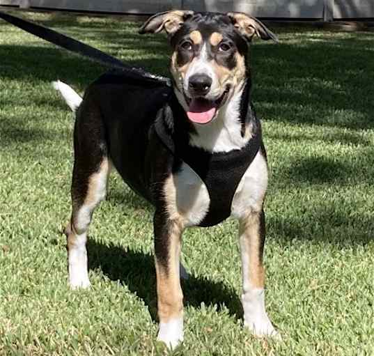 Photo of Xena