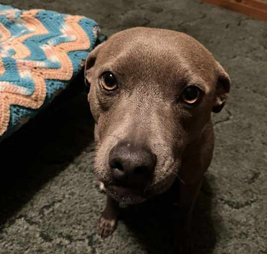 Photo of Maisy