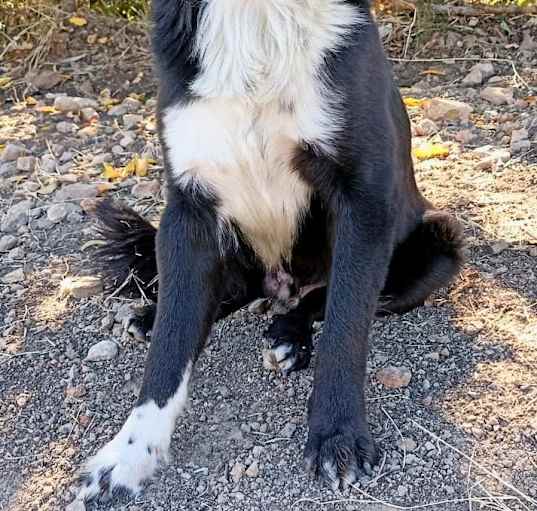 Photo of Nico