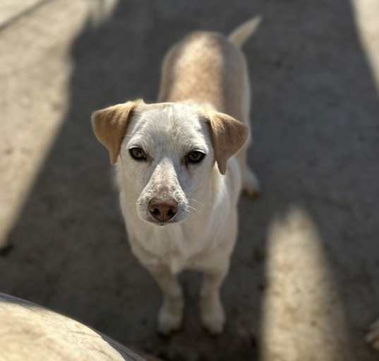 Photo of Leroy