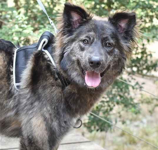 Photo of Ursa