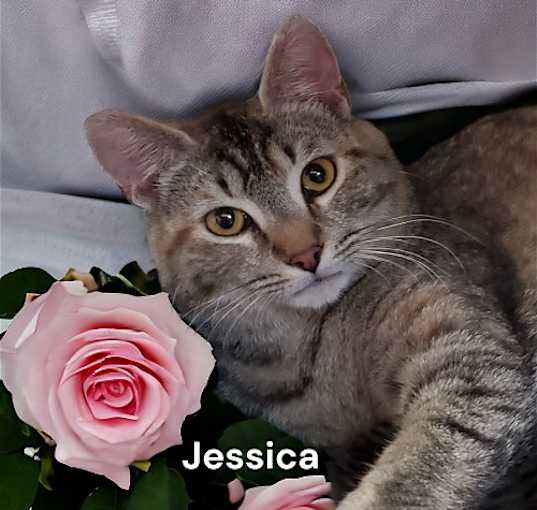 Photo of Jessica