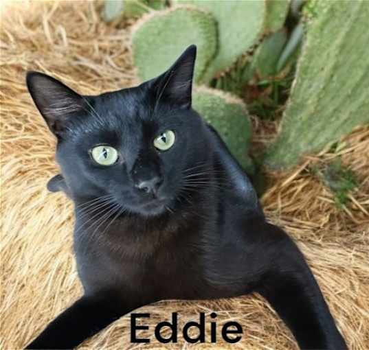 Photo of Eddie