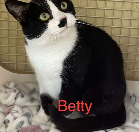 Photo of Betty