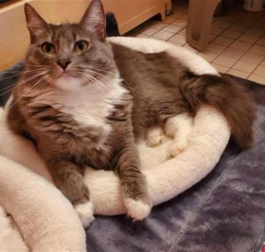 Photo of Angel