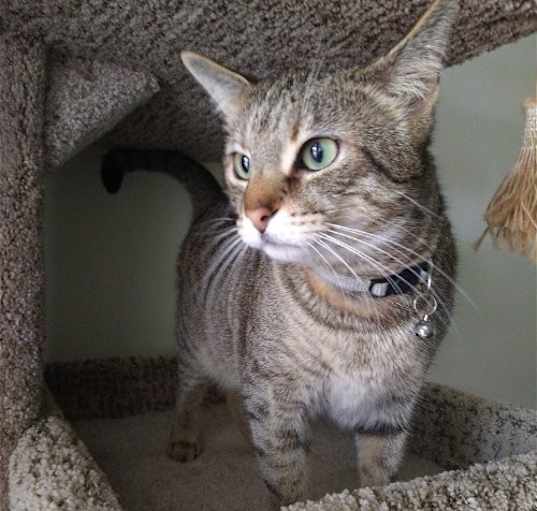 Photo of Mama Feisty
