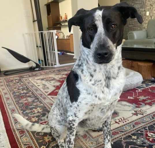 Photo of Bingo