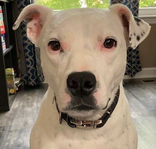 Photo of Lucy