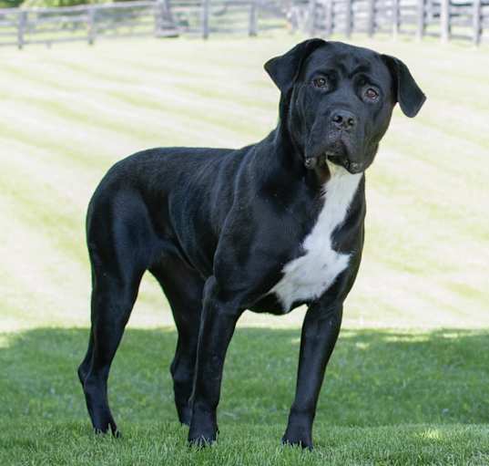 Photo of Nellie