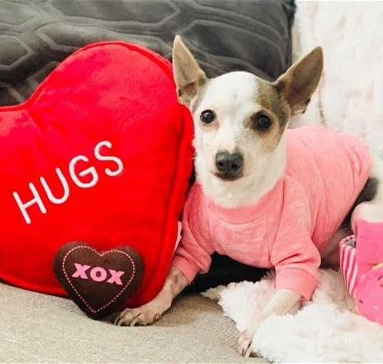 Photo of Petey