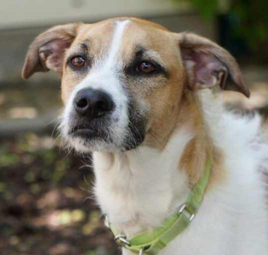 Photo of Thelma