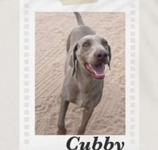 Photo of Cubby