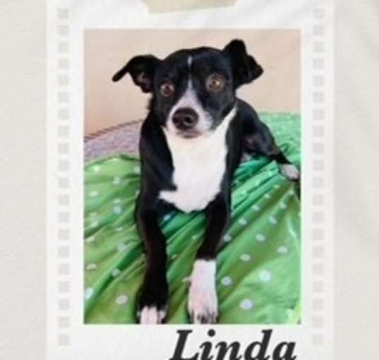 Photo of Linda