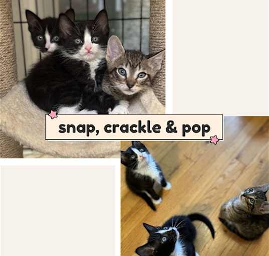 Photo of The Snap, Crackle , and Pop boys!