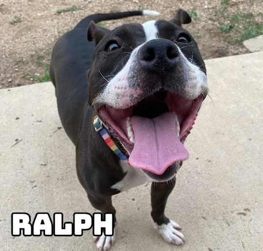 Photo of Ralph