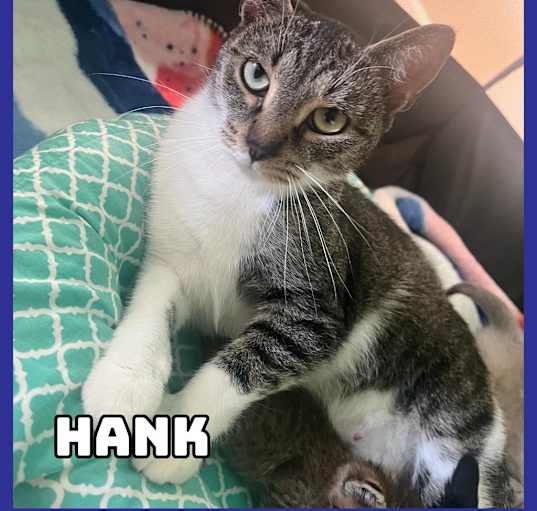 Photo of Hank