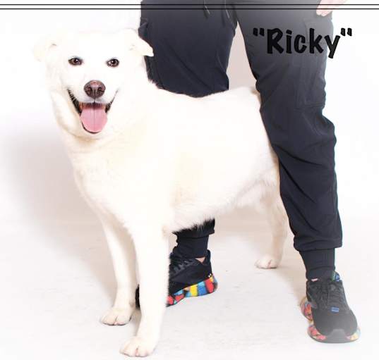 Photo of Ricky