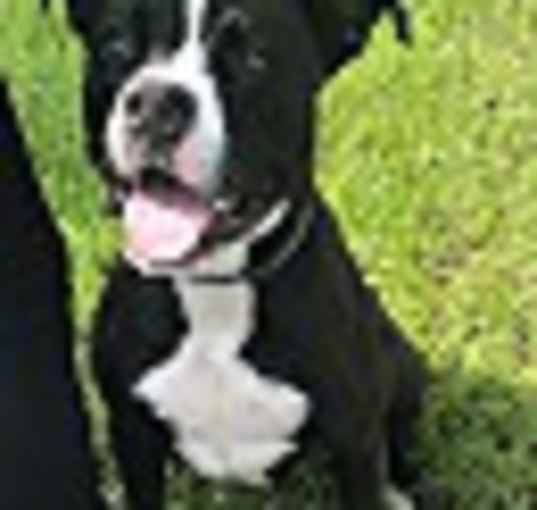 Photo of JETT