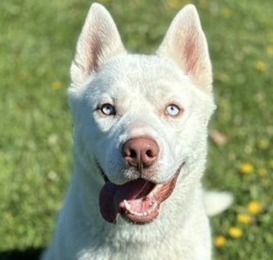 Photo of Morty