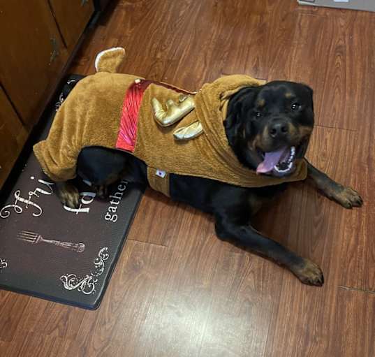 Photo of Ace