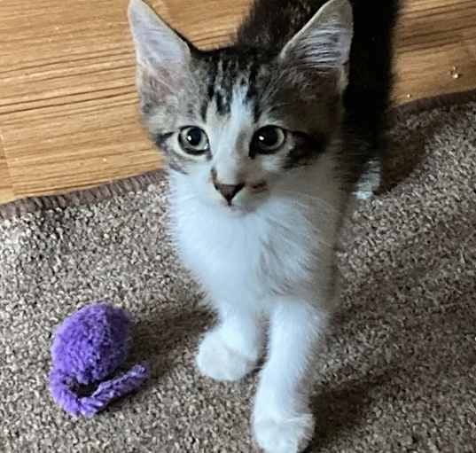 Photo of Sam