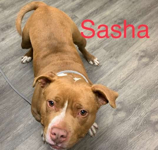 Photo of Sasha