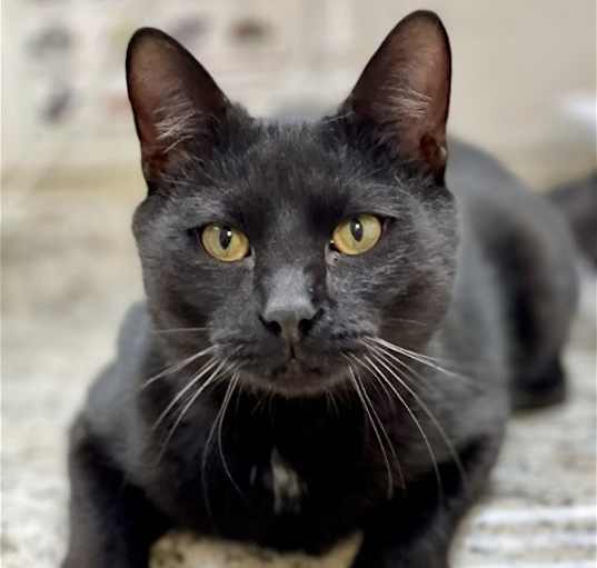 Photo of Handy