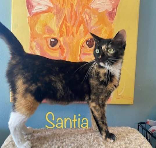Photo of Santia