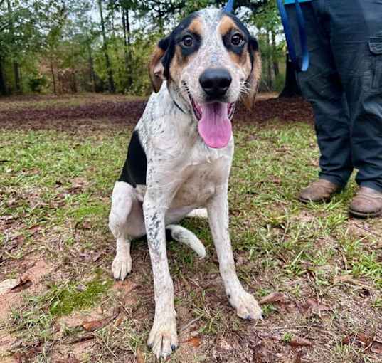 Photo of Cherokee
