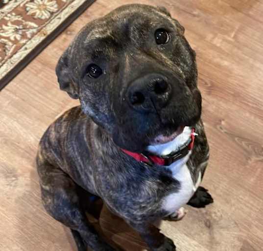 Photo of Luther