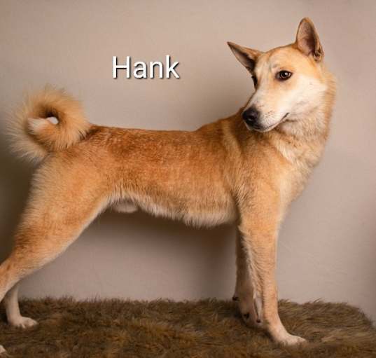 Photo of Hank Junior