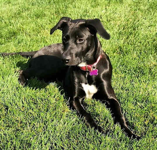 Photo of Tessa