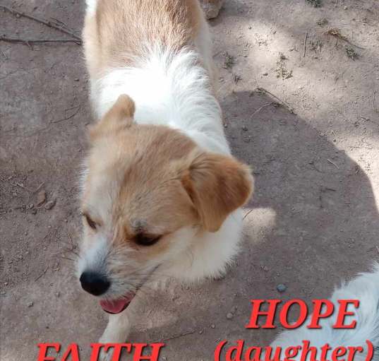 Photo of Faith and Hope