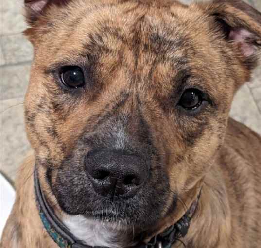 Photo of OAKLEY (COURTESY POST)
