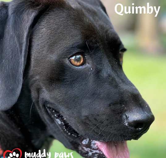 Photo of Quimby