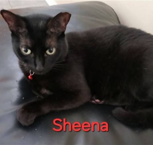 Photo of Sheena